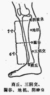 地陰|醫砭 » 經穴庫 » 地機